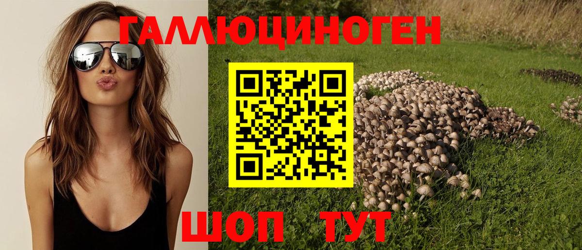 Псилоцибиновые грибы ЛСД  продажа наркотиков  Псилоцибиновые грибы мицелий  Узловая  Вход с VPN 