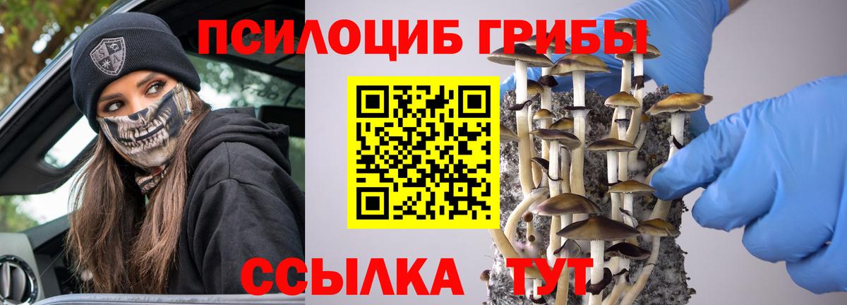 Псилоцибиновые грибы GOLDEN TEACHER Узловая